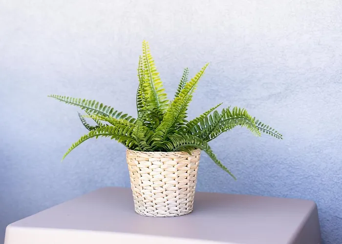 Casa Da Cerca - Picadeiro 1 *